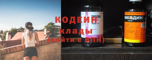 прущие грибы Кулебаки