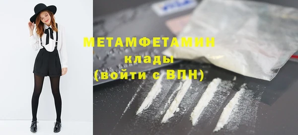 прущие грибы Кулебаки