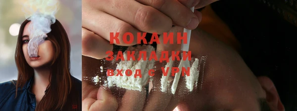 прущие грибы Кулебаки