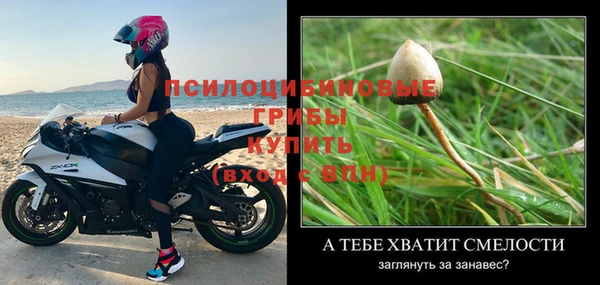 прущие грибы Кулебаки