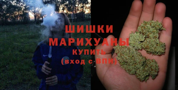 прущие грибы Кулебаки