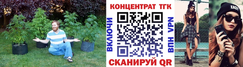 Купить Балашов ТГК концентрат
