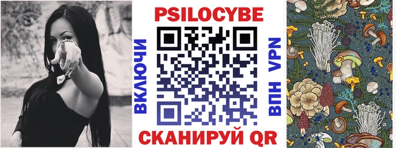 Купить где Балашов Псилоцибиновые грибы GOLDEN TEACHER
